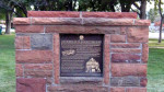 story image
