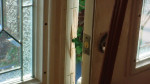 story image