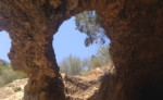 story image