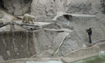 story image