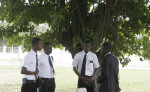 story image