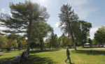 story image