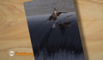 story image