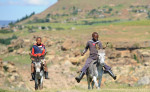 story image