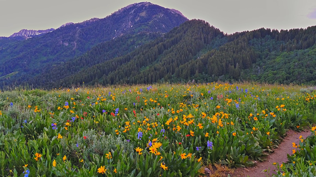 Bike Ogden Overlook Trail for stunning panoramic views