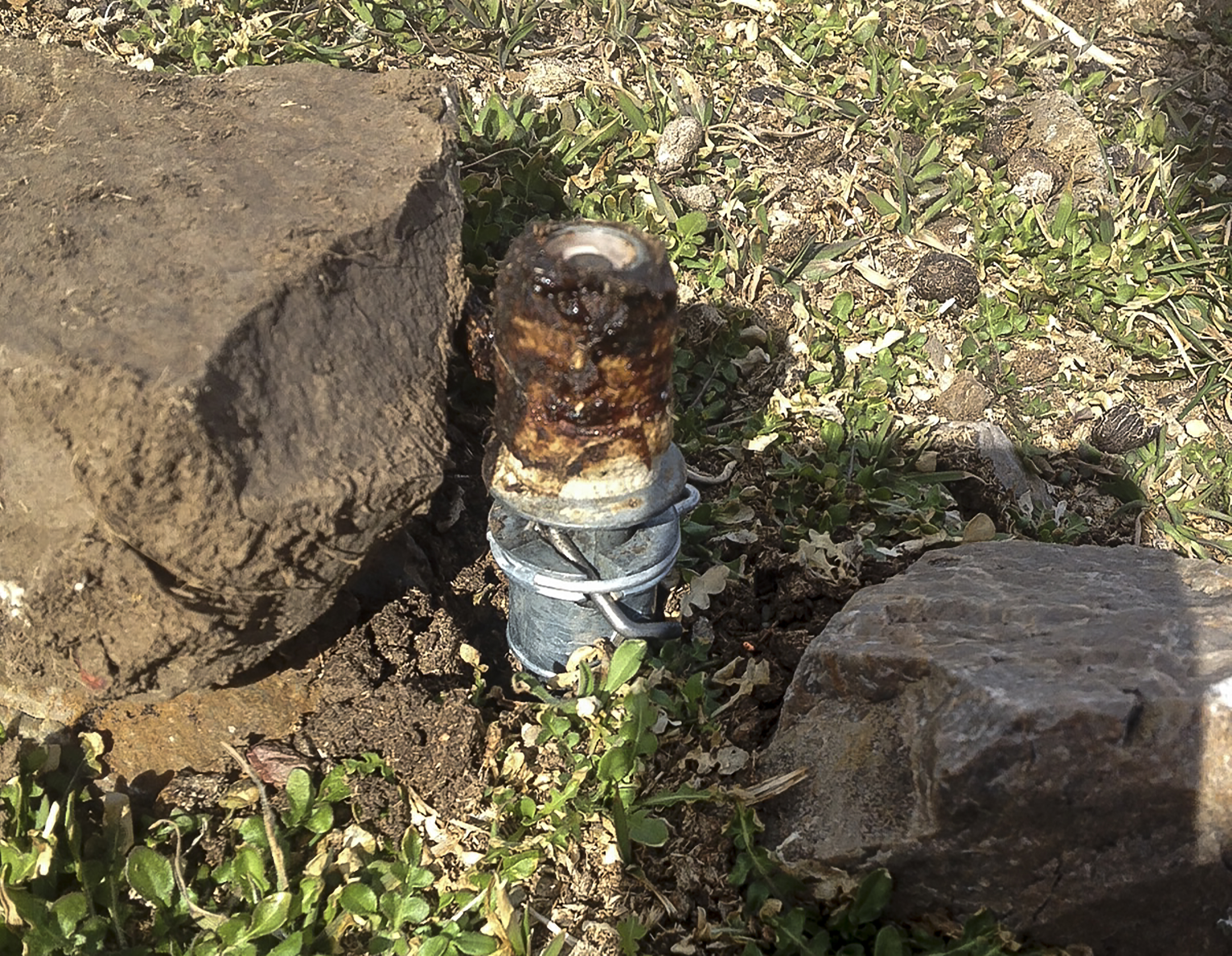 Groups move to ban cyanide traps that kill predator animals