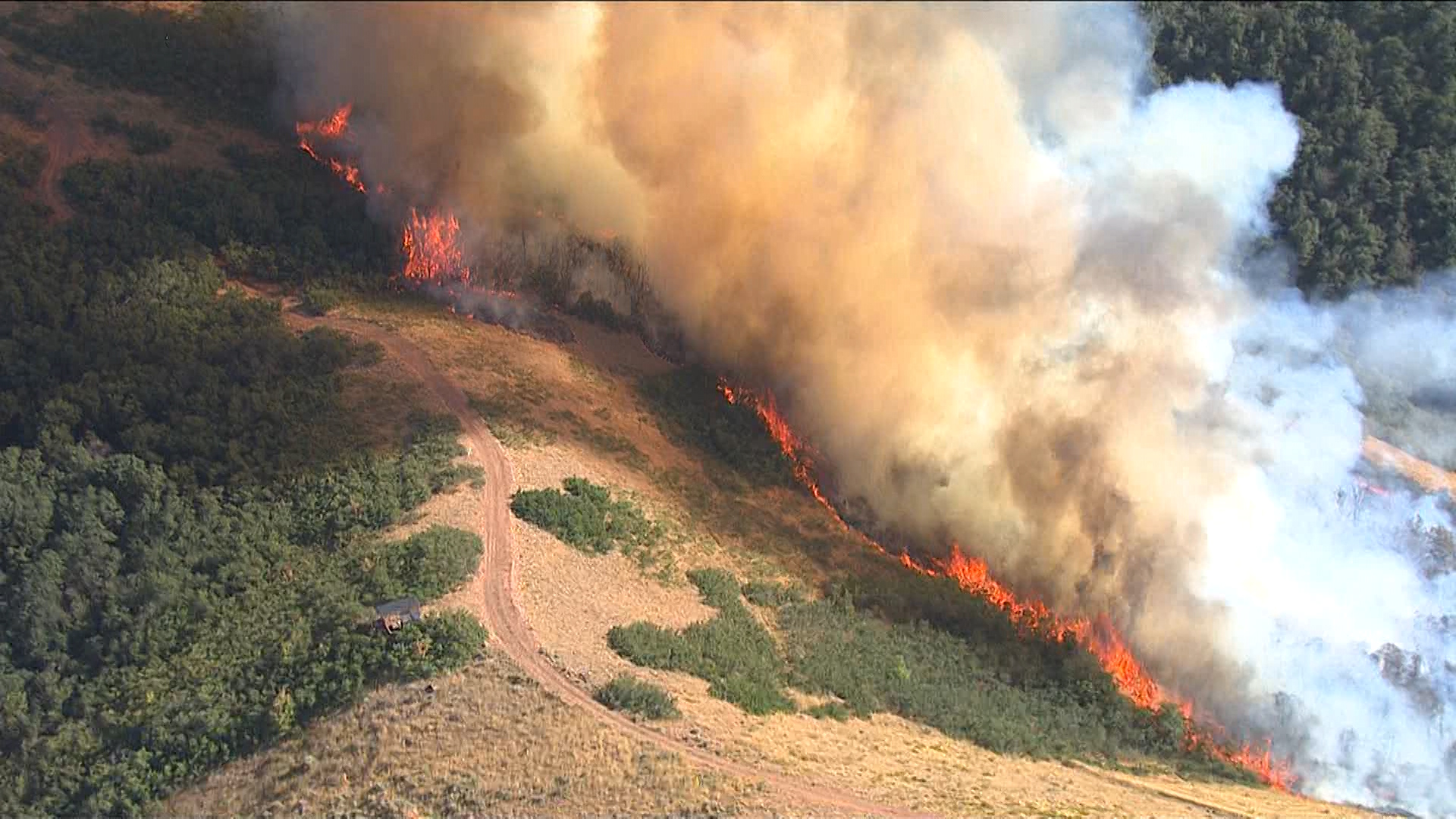 Summerwood Fire was human caused, 75 percent contained, officials say