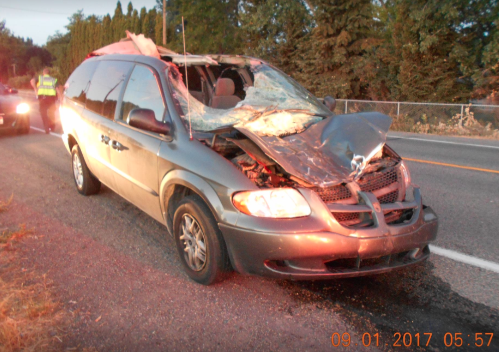 Two men injured, horse killed after crash near Twin Falls