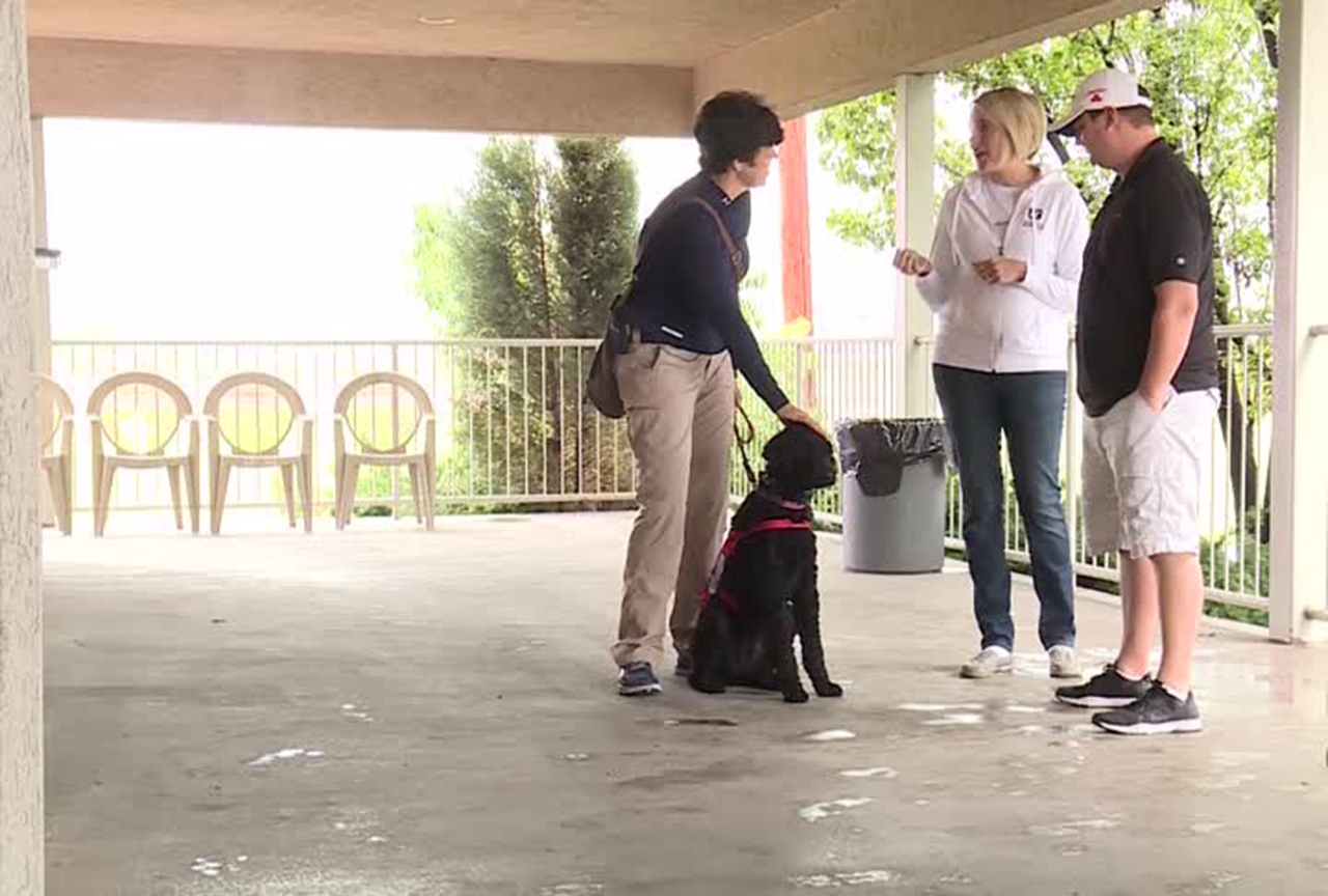 Gift of service dog transforms Army vet's life