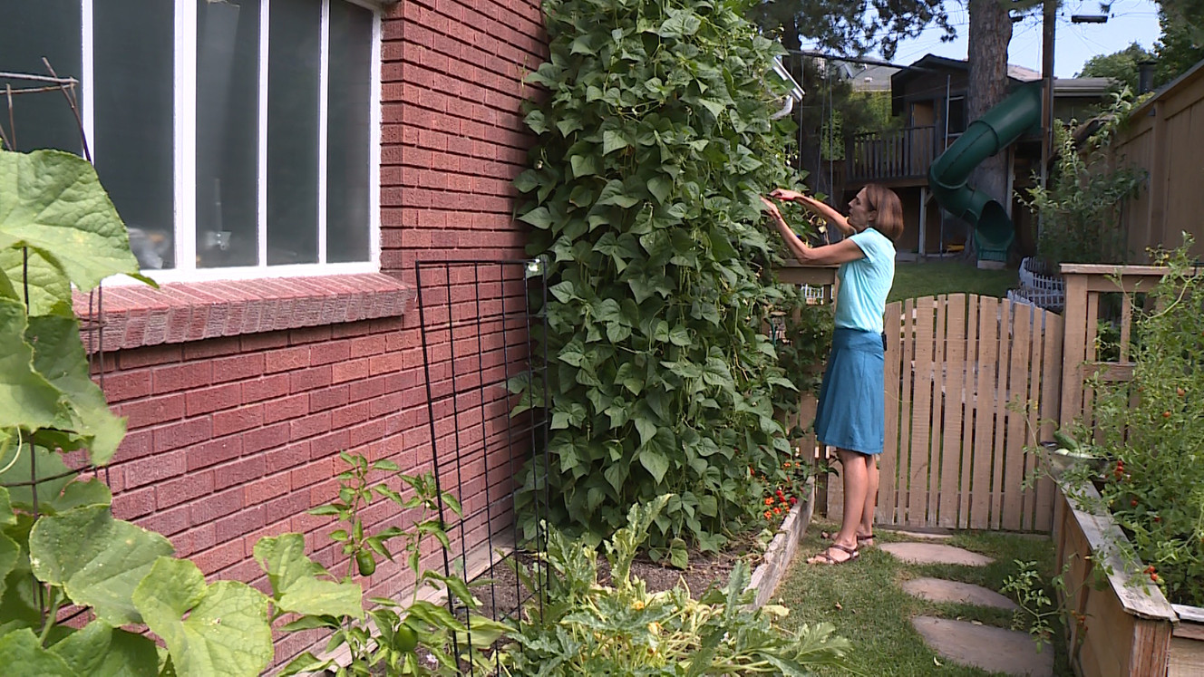 Utah woman creates system for gardeners to donate their backyard produce