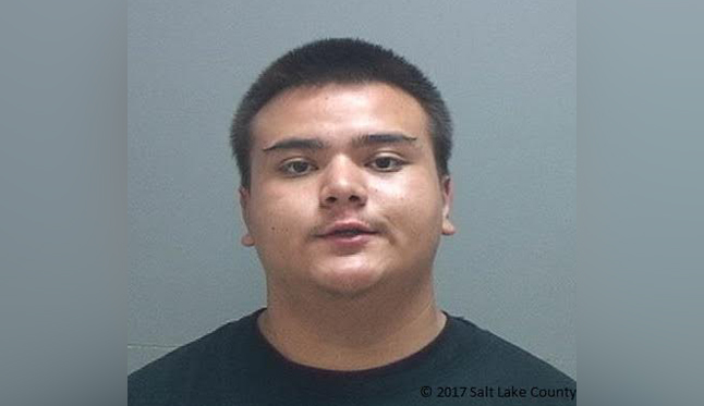2 linked to recent robberies arrested following police chase
