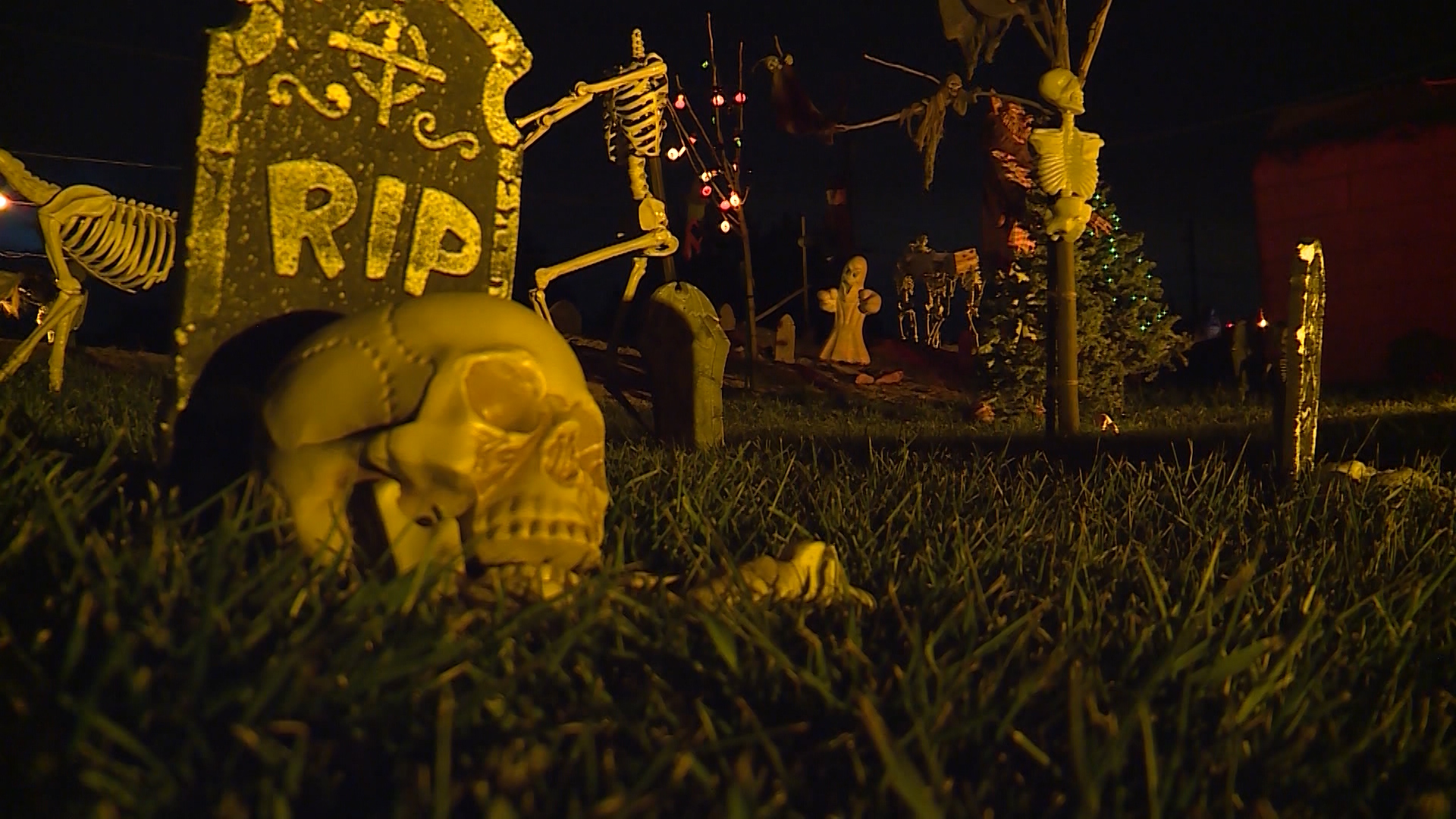 Pleasant Grove 'haunted driveway' helping police K-9