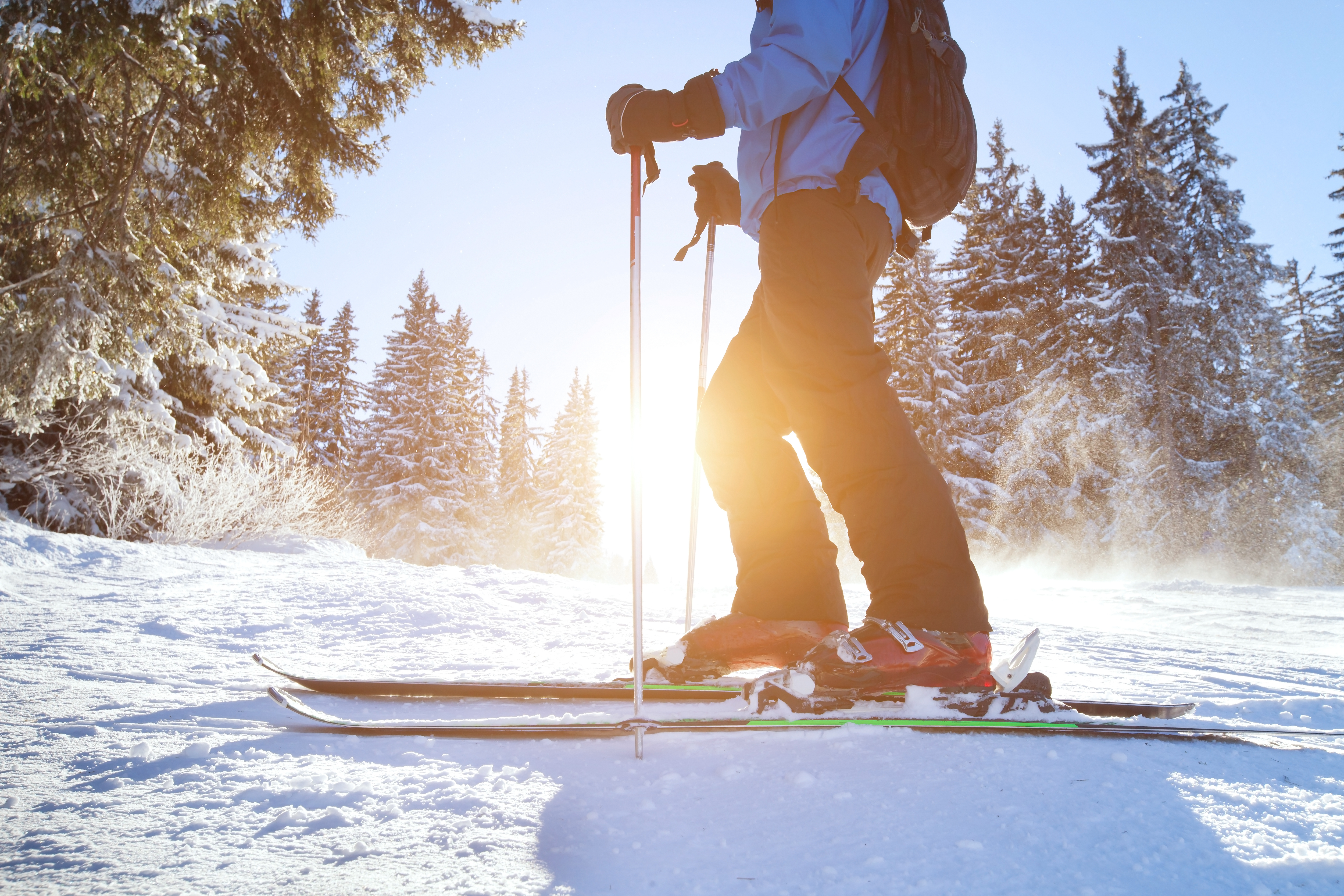 Looking for work? Here are 3 industries hiring for the holidays