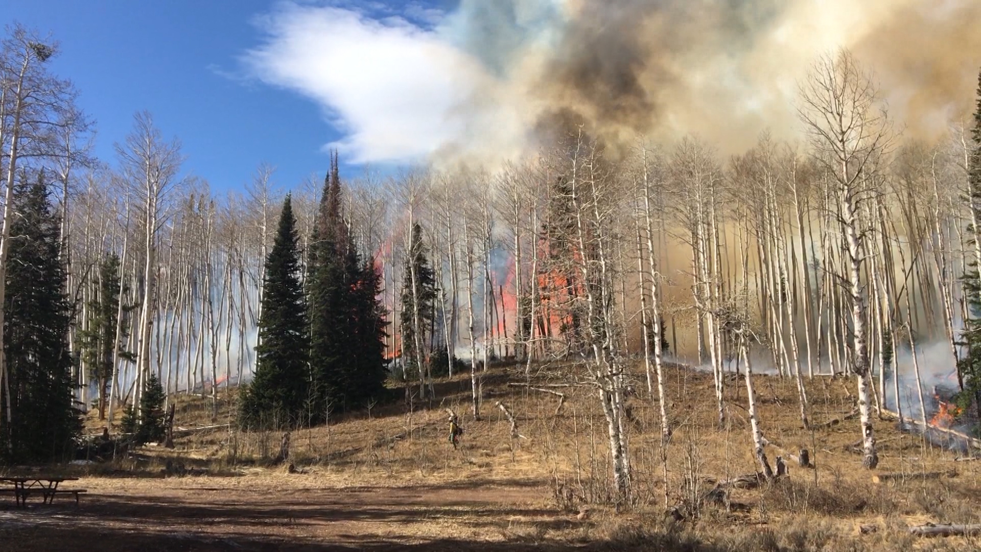 Fire crews starting fires in hopes to reduce potential threats