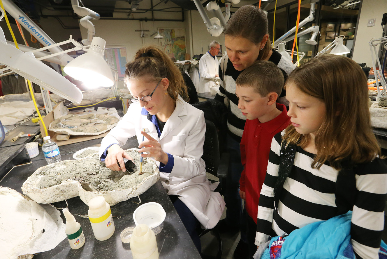 Public learns about dinosaur bones, tarantulas and 'zombie' ants