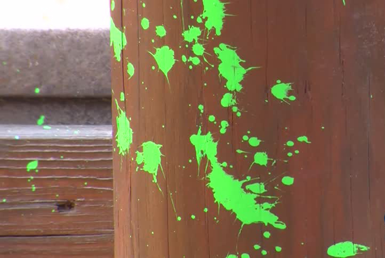 Vandals splatter paint throughout popular park in Pleasant Grove