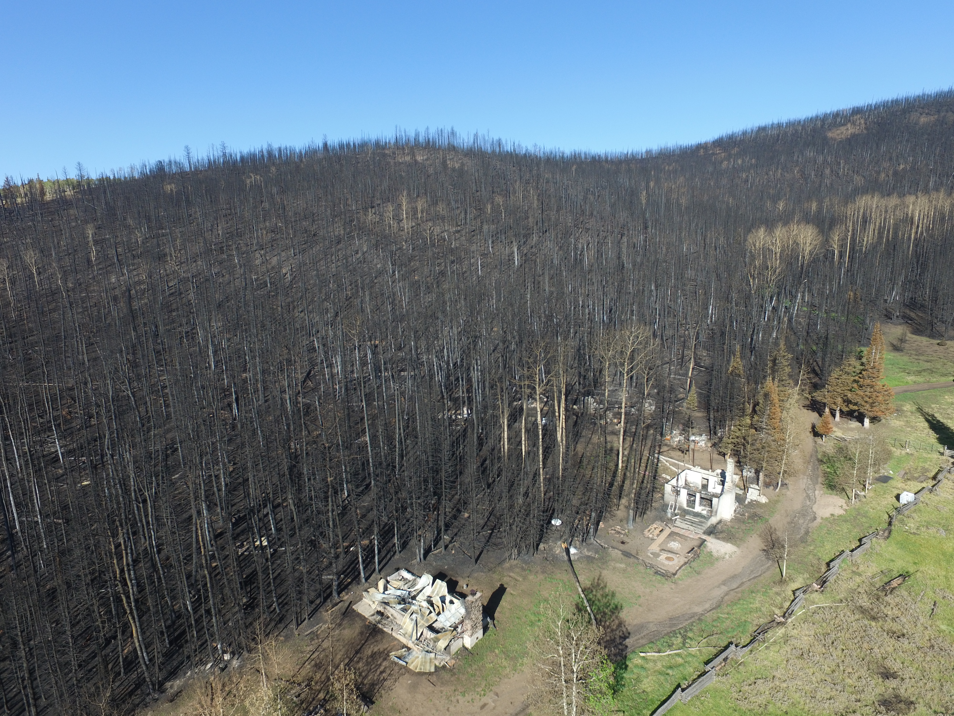 Forest Service considers harvesting, selling timber burned in Brian Head Fire