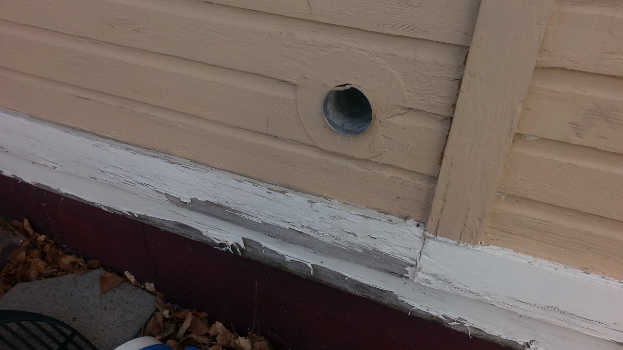 How to keep mice out of your home this winter