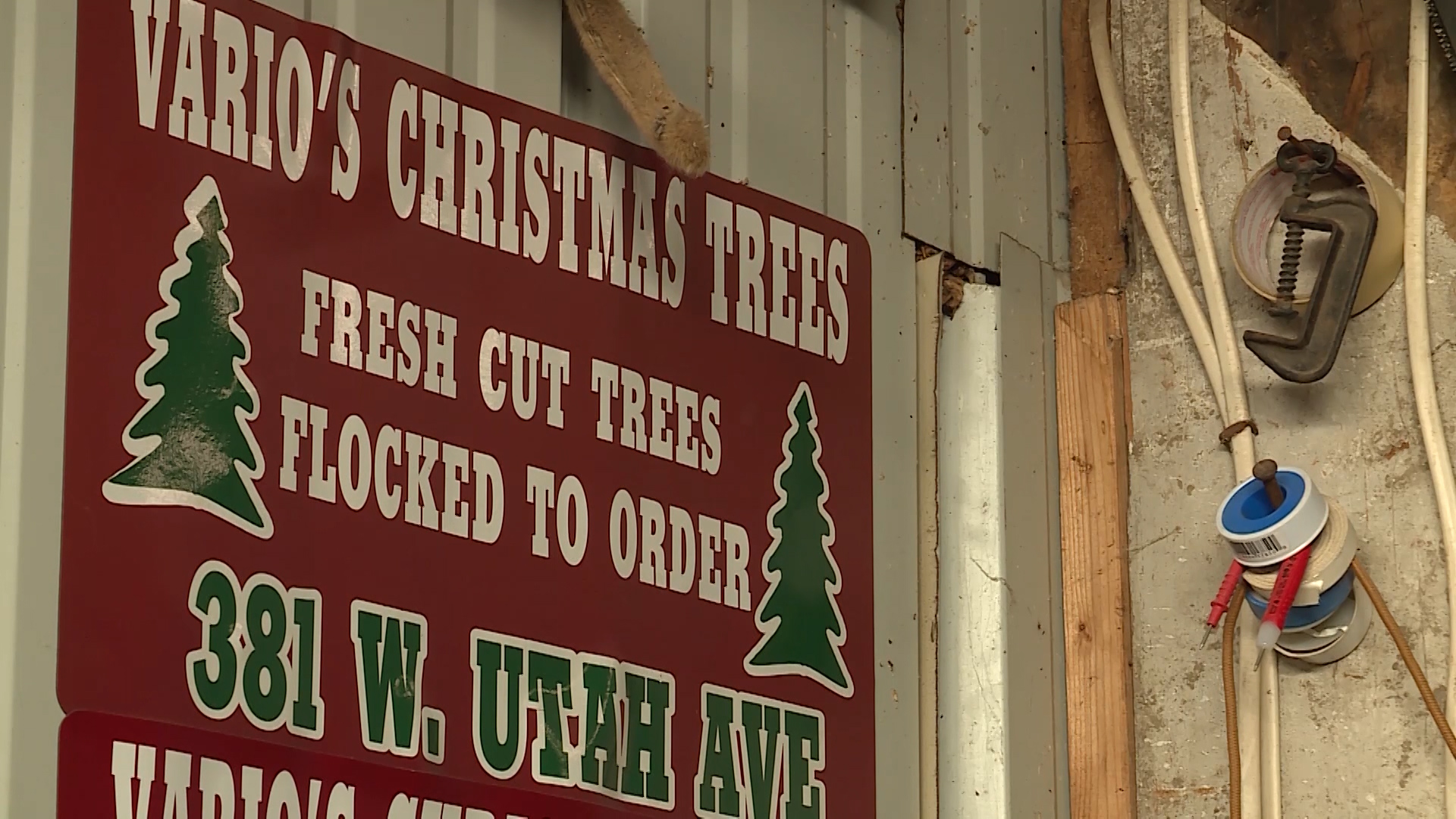 Beloved Christmas tree family business forced to close after 66 years