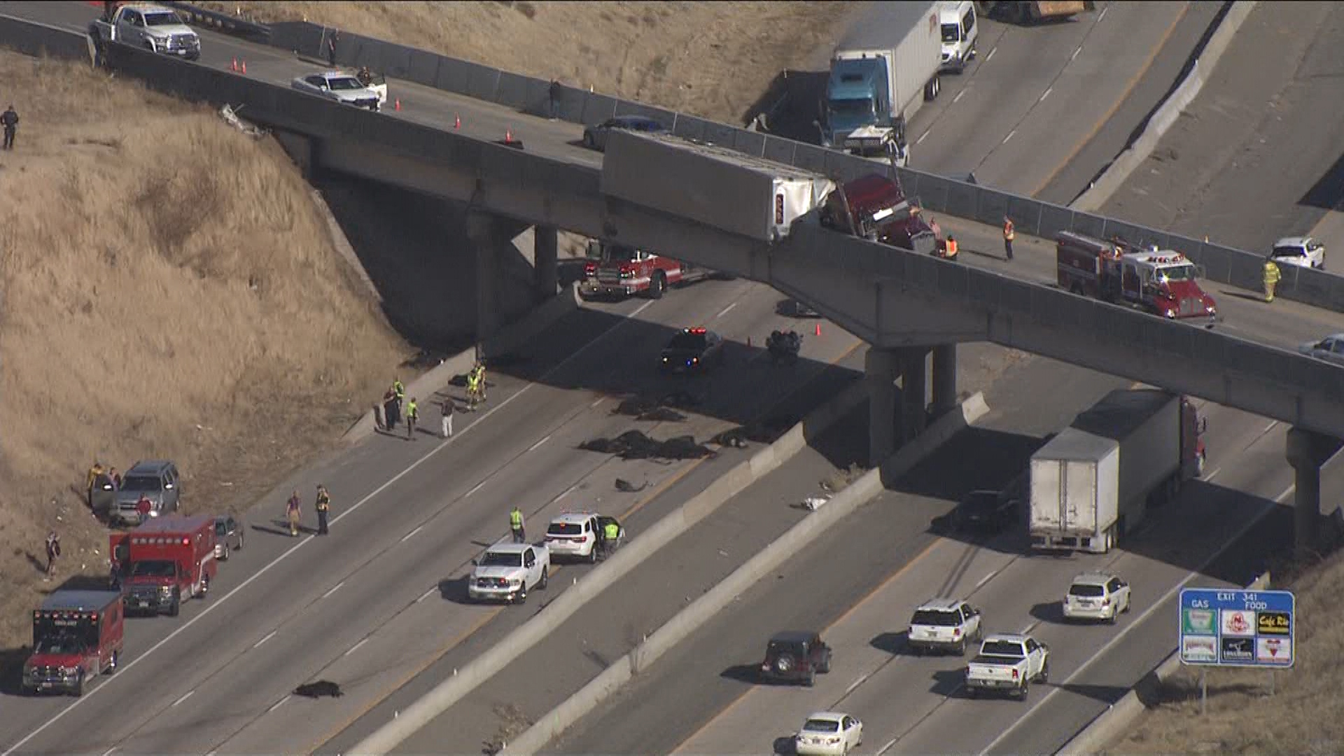 PETA plans billboard memorializing cows killed in Riverdale crash