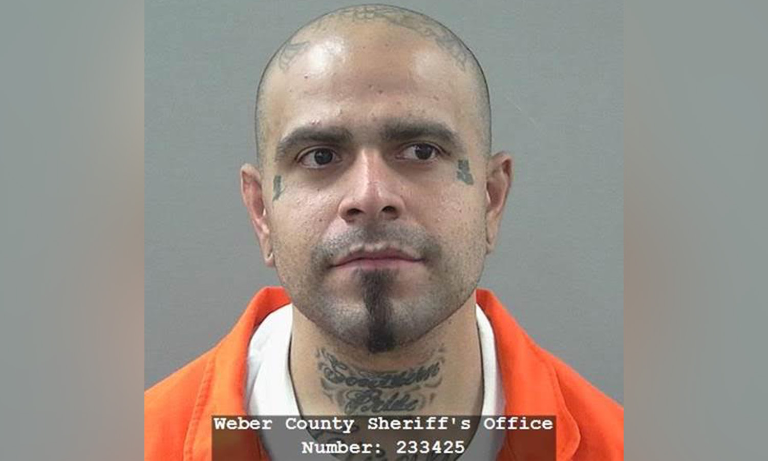 2 arrested after pursuit ends in Brigham City