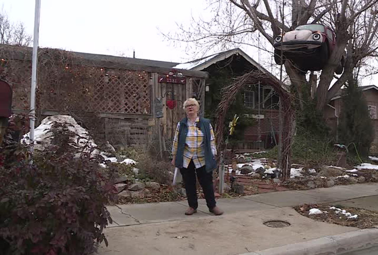 Homeowner displays VW Beetle in tree; Clearfield officials demand she take it down
