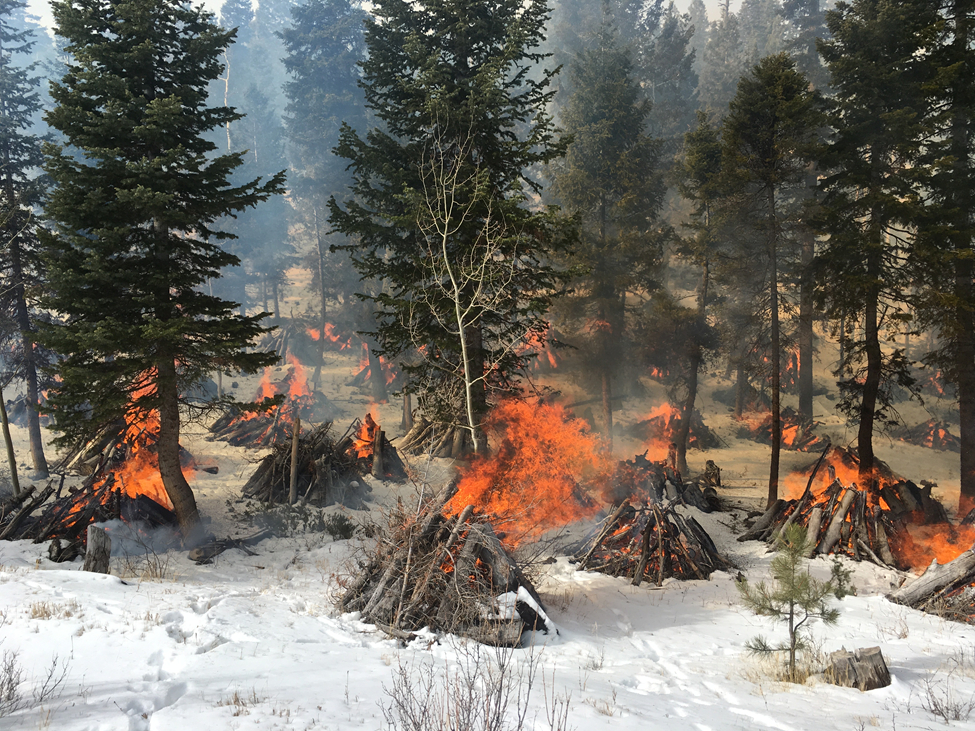Land managers ask for input on plans to reduce number of catastrophic wildfires