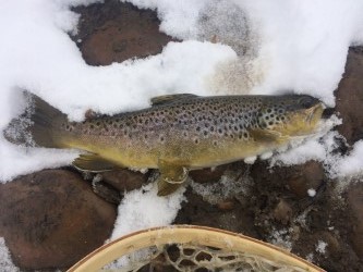 Bitter cold winters are still a good time to river fish in Utah