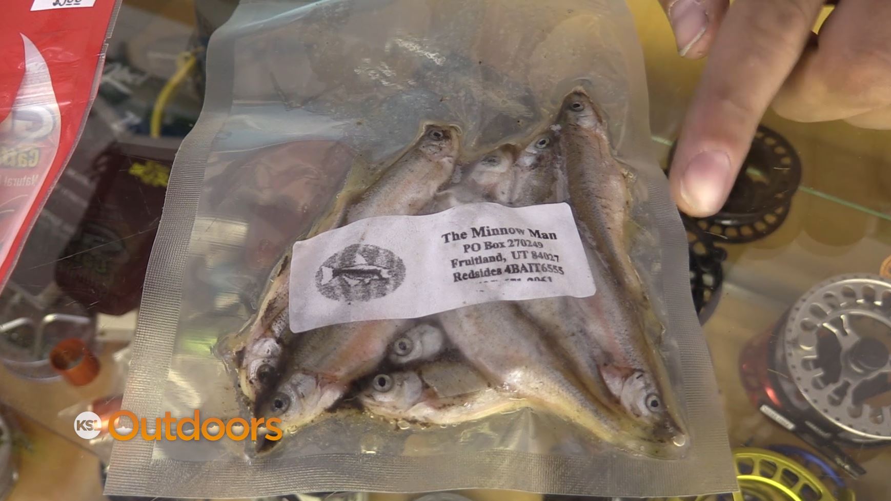 best bait to catch catfish