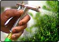 Severe Water Restrictions in Monticello