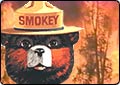 Fire Season Not as Bad as Expected -- So Far