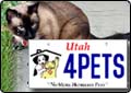 "No More Homeless Pets" Plate Anniversary