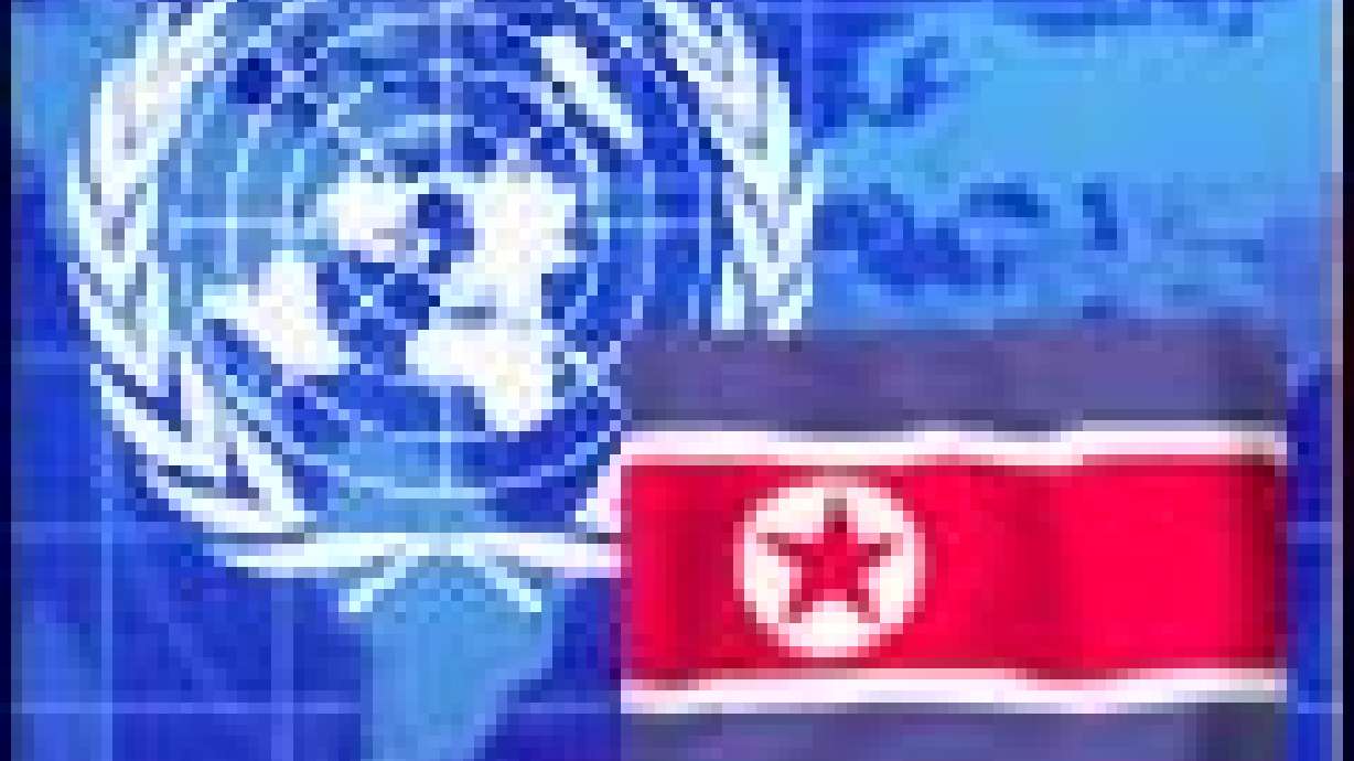 U.N. Council Approves Restarting Iraq Aid