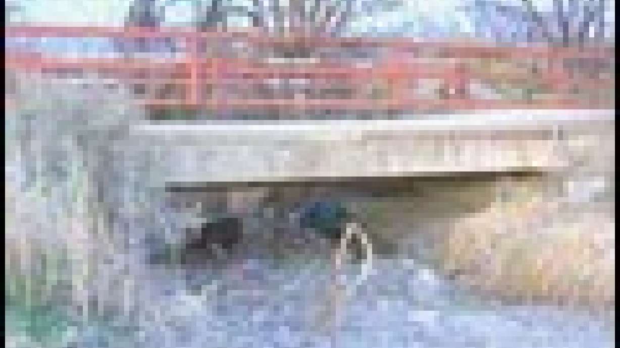 Where Has Elizabeth Smart Been?