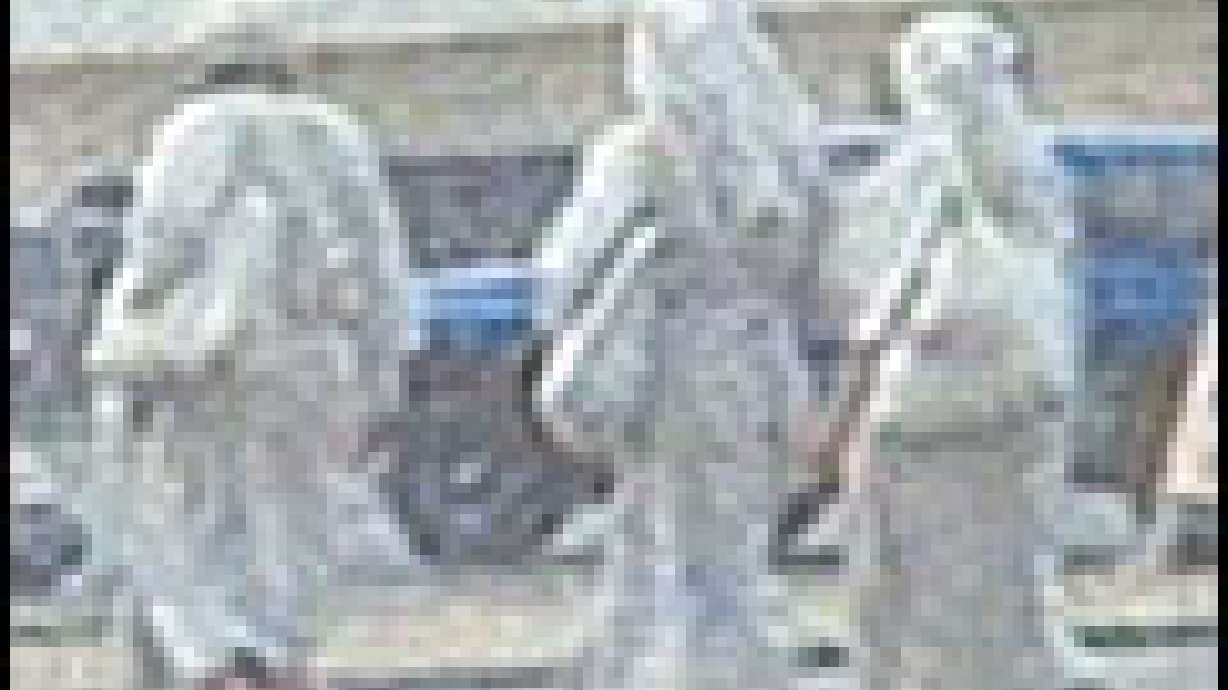 San Diego-Area Town Stunned Smart was Among Them