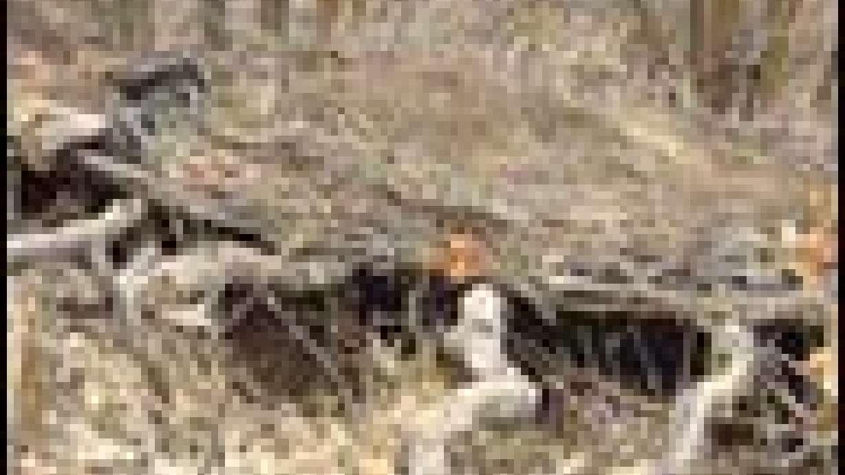 Closer Look at Mitchell Hideout