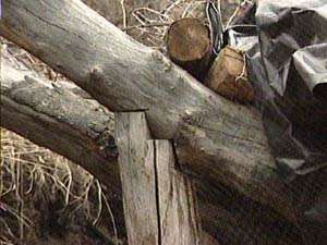 Closer Look at Mitchell Hideout