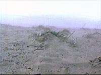 Wind, Dust Stop Traffic Near Eagle Mountain