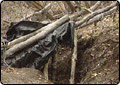 More on Mitchell Hideout