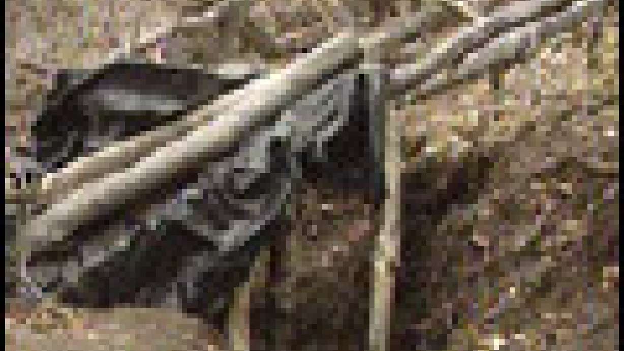 More on Mitchell Hideout