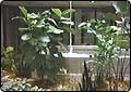 Some Workplaces becoming "Jungles"