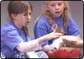Summer Camp for Transplant Patients Underway
