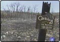 Evergreen Fire Nearly Out