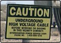 Farmers Say Electrical Stress Killing Cows