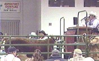 Beef Prices on the Rise
