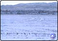 Riverton City Council Passes Development Project