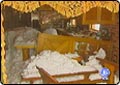 Survivors Talk About Avalanche