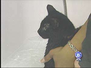 Victim of Odgen Apt. Fire Gets a Pleasant Surprise