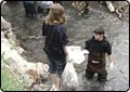 Students Clean up Mill Creek