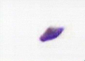Photographer Takes Picture of Possible UFO?
